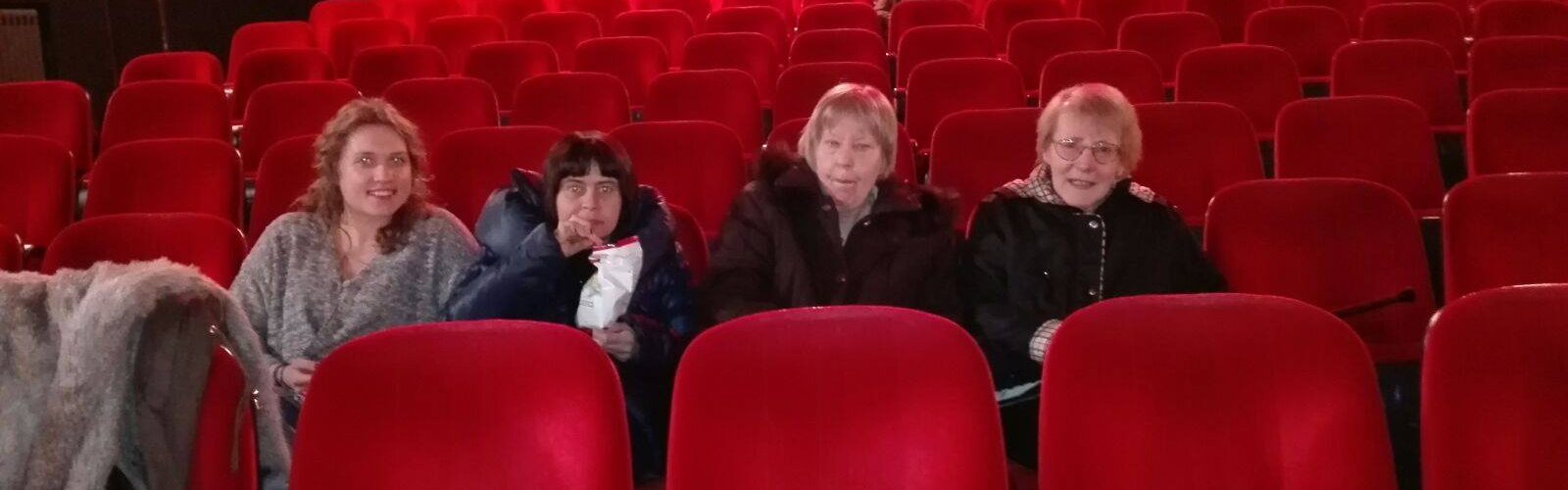 Amico Inn Cinema